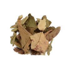 Indische / roze Lotusbloem - Nelumbo nucifera 20g